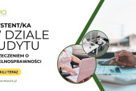 Asystentka w dziale audytu z orzeczeniem zdalna